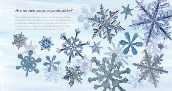 Бумажная книга «The Story of Snow. The Science of Winter's Wonder», автор Джон Нельсон - фото №5 - миниатюра