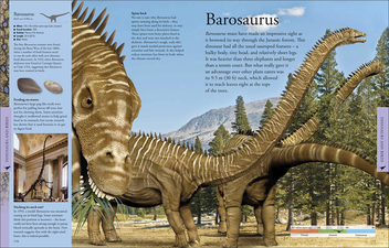 Бумажная книга «Dinosaurs A Children's Encyclopedia» - фото №8 - миниатюра