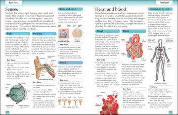 Бумажная книга «Human Body Workbook» - фото №5 - миниатюра