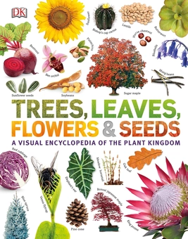Бумажная книга «Trees, Leaves, Flowers and Seeds. A visual encyclopedia of the plant kingdom», автор Сара Хосе - фото №1 - миниатюра