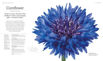 Бумажная книга «The Flower Book. Natural Flower Arrangements for Your Home», автор Рейчел Зигфрид - фото №4 - миниатюра