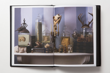 Бумажная книга «Morbid Curiosities. Collections of the Uncommon and the Bizarre», автор Пол Гамбино - фото №9 - миниатюра
