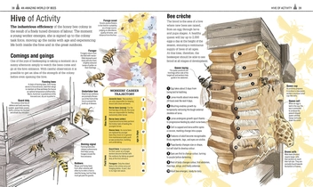 Бумажная книга «The Bee Book» - фото №5 - миниатюра
