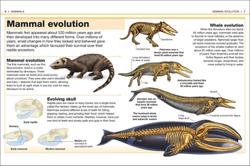 Бумажная книга «Mammals. Facts at Your Fingertips» - фото №5 - миниатюра