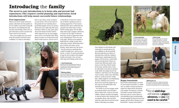 Паперова книга «How to Train a Superpup. Unleash your puppy's potential», автор Гвен Бейлі - фото №4 - мініатюра
