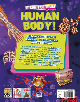 Бумажная книга «It Can't Be True! Human Body!» - фото №2 - миниатюра