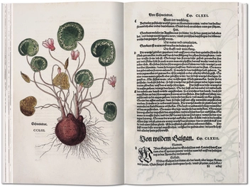 Бумажная книга «Leonhart Fuchs: The New Herbal of 1543», автор Вернер Дрессендорфен - фото №4 - миниатюра