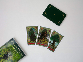 Паперова книга «The Spirit of Nature Oracle. Ancient Wisdom from the Green Man and the Celtic Ogam Tree Alphabet», авторів Джон Метьюз, Вілл Вортінгтон - фото №4 - мініатюра