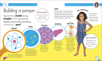 Бумажная книга «My Top to Bottom Body Book. What Makes a Happy, Healthy Body and What Makes You?» - фото №4 - миниатюра