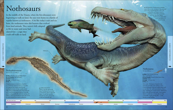 Бумажная книга «Dinosaurs A Children's Encyclopedia» - фото №10 - миниатюра