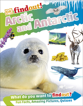 Бумажная книга «DKFindout! Arctic and Antarctic» - фото №1 - миниатюра