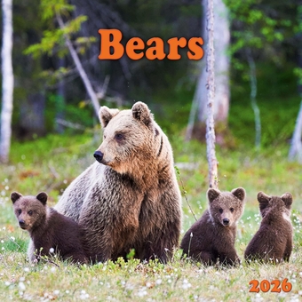 Паперова книга «Bears 2026» - фото №1 - мініатюра
