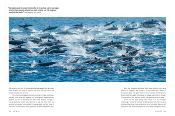 Бумажная книга «Blue Planet II», авторов Джеймс Ханиборн, Марк Браунлоу - фото №6 - миниатюра