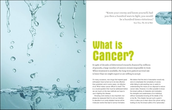 Бумажная книга «Foods to Fight Cancer. What to Eat to Help Beat Cancer», авторов Ричард Беливо, Денис Гинграс - фото №5 - миниатюра