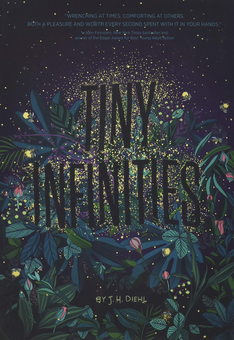 Бумажная книга «Tiny Infinities», автор Жан Хейлприн Диль - фото №1 - миниатюра