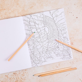 Паперова книга «The Official Dune Colouring Book», автор Френк Герберт - фото №5 - мініатюра