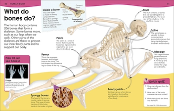 Бумажная книга «Do You Know About Science? Amazing Answers to more than 200 Awesome Questions!» - фото №6 - миниатюра