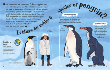 Бумажная книга «Ask A Scientist. Professor Robert Winston Answers 100 Big Questions from Kids Around the World! », автор Роберт Уинстон - фото №7 - миниатюра