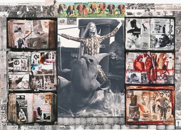 Бумажная книга «Peter Beard », автор Оуэн Эдвардс - фото №10 - миниатюра