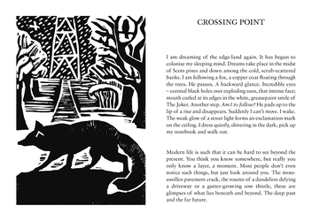 Паперова книга «Common Ground», автор Роб Коен - фото №5 - мініатюра