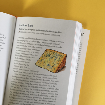 Паперова книга «A Cheesemonger's Compendium of British & Irish Cheese», автор Нед Палмер - фото №2 - мініатюра