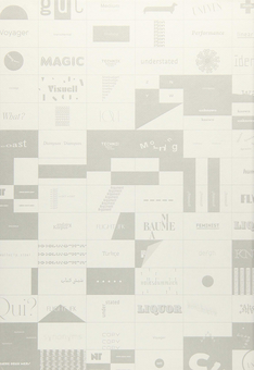 Бумажная книга «Subtext: Typedesign», автор Мартин Тифенталер - фото №2 - миниатюра