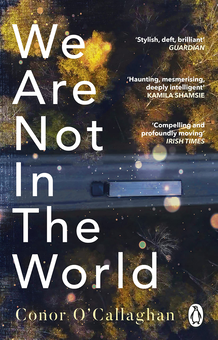 Паперова книга «We Are Not in the World», автор Конор О'Каллаген - фото №1 - мініатюра