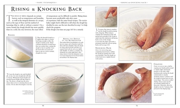 Бумажная книга «Bread. Baking by Hand or Bread Machine», авторов Эрик Трей, Урсула Ферриньо - фото №3 - миниатюра
