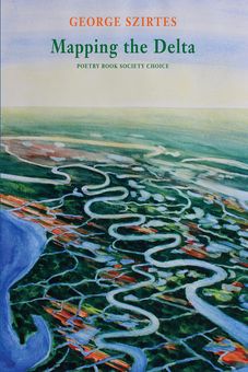 Бумажная книга «Mapping the Delta», автор Джордж Сиртеш - фото №1 - миниатюра