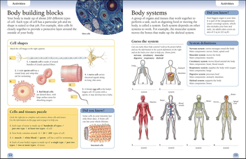 Бумажная книга «Human Body Workbook» - фото №6 - миниатюра