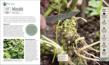 Бумажная книга «Incredible Edibles. Grow Something Different in Your Fruit and Veg Plot», автор Мэтью Биггс - фото №8 - миниатюра