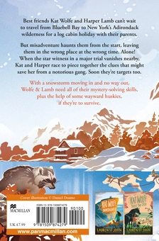 Паперова книга «Kat Wolfe on Thin Ice», автор Лорен Сент-Джон - фото №2 - мініатюра