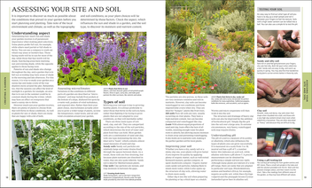 Бумажная книга «RHS Encyclopedia Of Plants and Flowers», автор Кристофер Брикелл - фото №6 - миниатюра