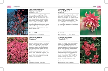 Паперова книга «RHS What Plant When. More than 1,000 Top Plants for Every Season » - фото №5 - мініатюра