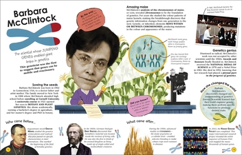 Бумажная книга «100 Scientists Who Made History», автор Андреа Миллс - фото №7 - миниатюра