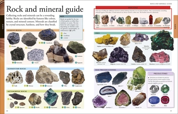 Бумажная книга «The New Children's Encyclopedia. Packed with Thousands of Facts, Stats, and Illustrations» - фото №4 - миниатюра