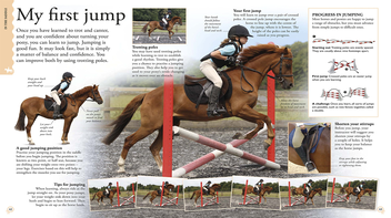 Бумажная книга «How To...Horse Riding. A Step-by-Step Guide to Mastering Your Skills» - фото №2 - миниатюра