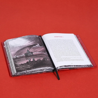 Бумажная книга «Frankenstein (Deluxe Edition)», автор Мэри Шелли - фото №4 - миниатюра