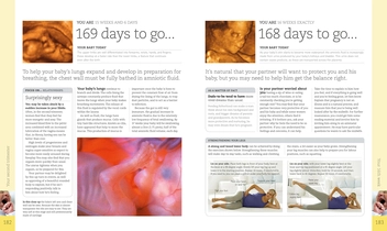 Бумажная книга «The Day-by-Day Pregnancy Book», автор Мэгги Блотт - фото №5 - миниатюра