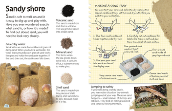 Бумажная книга «Seashore. Explore Nature with Fun Facts and Activities» - фото №6 - миниатюра