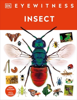 Паперова книга «Insect» - фото №1 - мініатюра