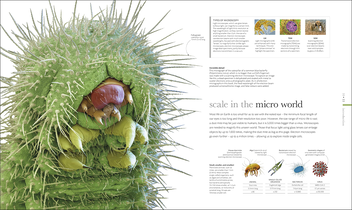Бумажная книга «Micro Life» - фото №14 - миниатюра