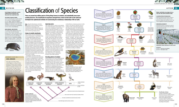 Бумажная книга «Science. The Definitive Visual Guide» - фото №4 - миниатюра