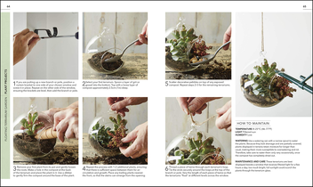 Паперова книга «RHS Practical Cactus and Succulent Book. How to Choose, Nurture, and Display more than 200 Cacti and Succulents» - фото №6 - мініатюра