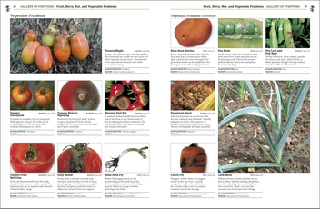 Бумажная книга «RHS Pests and Diseases», авторов Пиппа Гринвуд, Эндрю Холстед - фото №4 - миниатюра