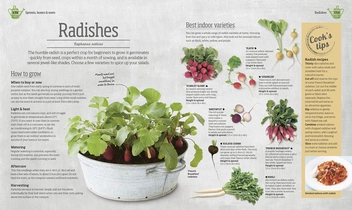 Бумажная книга «Indoor Edible Garden. Creative Ways to Grow Herbs, Fruit and Vegetables in Your Home», автор Зия Аллауэй - фото №4 - миниатюра