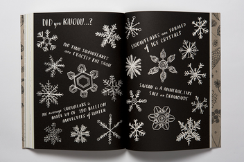 Паперова книга «Hello Nature. Draw, Collect, Make and Grow», автор Ніна Чакрабарті - фото №12 - мініатюра