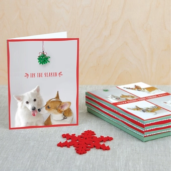 Бумажная книга «Festive Furry Friends Deluxe Notecard Collection» - фото №3 - миниатюра