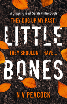 Бумажная книга «Little Bones», автор Н. В. Пикок - фото №1 - миниатюра