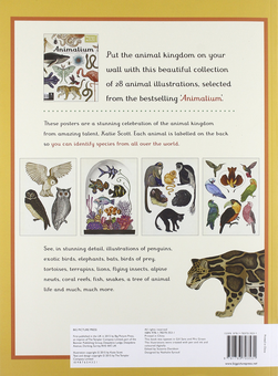 Паперова книга «Animalium Poster Book» - фото №2 - мініатюра